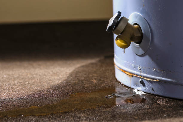 Best Flood restoration services  in Elk River, MN
