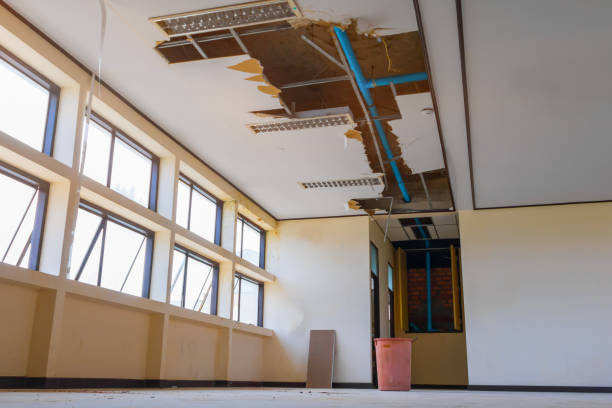 Best Basement water damage restoration  in Elk River, MN