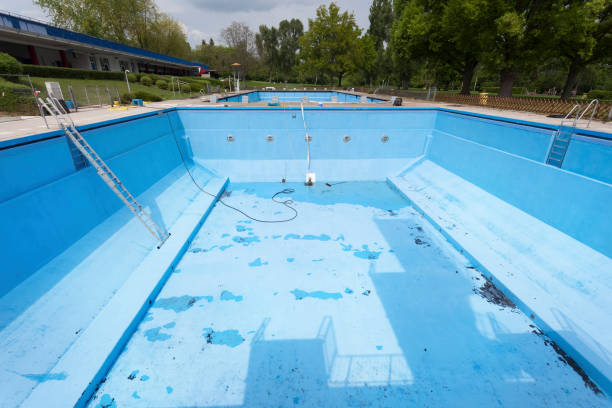 Best Professional water damage repair  in Elk River, MN