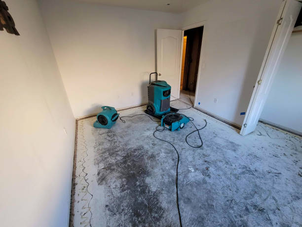 Best Sewage cleanup and water damage restoration  in Elk River, MN