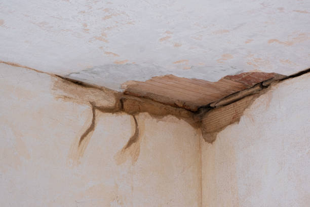 Best Water damage restoration near me  in Elk River, MN