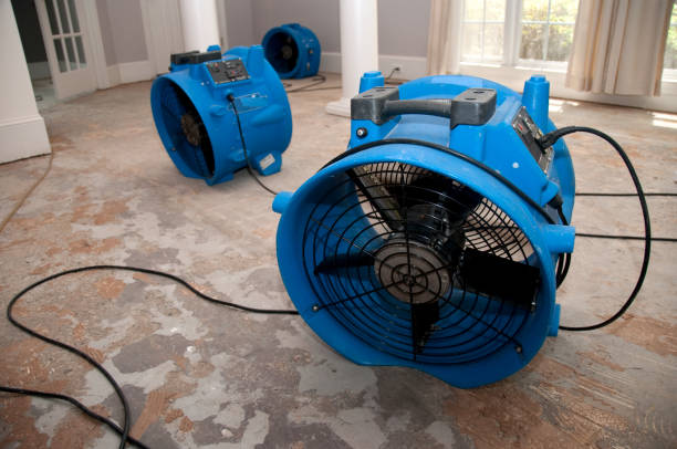 Best Flood restoration services  in Elk River, MN