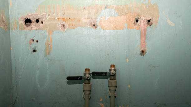 Best Commercial water damage restoration  in Elk River, MN