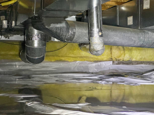 Best 24/7 water damage repair  in Elk River, MN