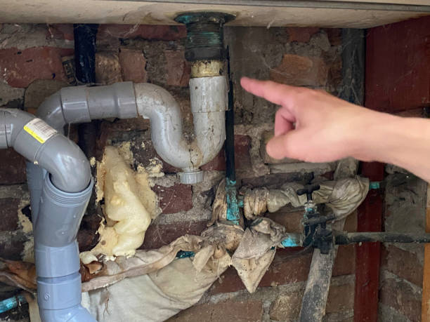 Best Professional water damage repair  in Elk River, MN