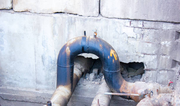 Best Water damage contractors near me  in Elk River, MN