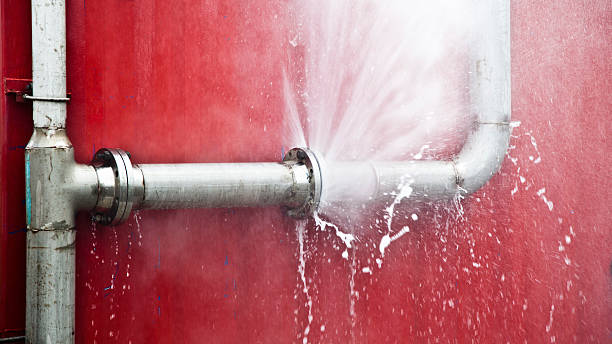 Best Flooded house restoration  in Elk River, MN